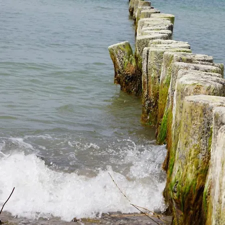 Daire Schmidt's Koje Börgerende-Rethwisch