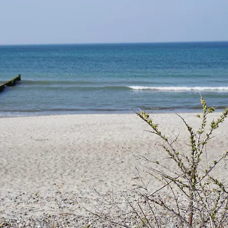 Daire Schmidt's Koje *