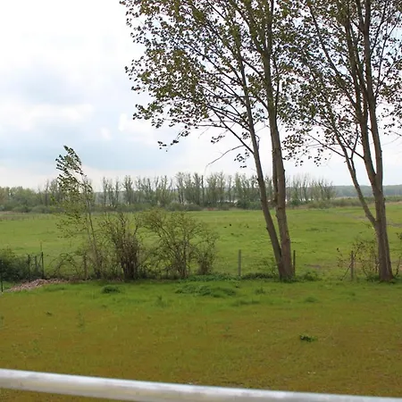 Schmidt's Koje Daire *